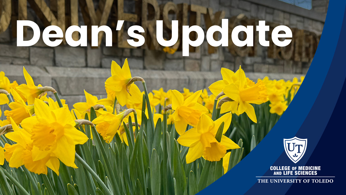 Header artwork featuring a bed of blooming yellow daffodils in front of a stone wall with gold 'University' lettering. On the right side, dark blue swoops frame the image with the University of Toledo College of Medicine and Life Sciences logo in the bottom right corner. Text reads: Dean's Update.
